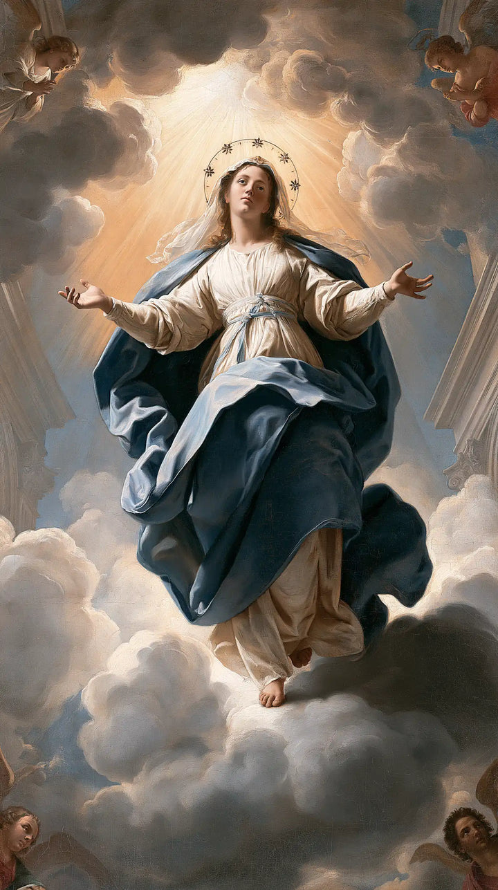 The Assumption of Mary — The Diadem Above the Grey Cloud