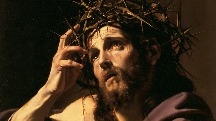 Jesus Crowned with Thorns — The Hand That Touches the Brambles