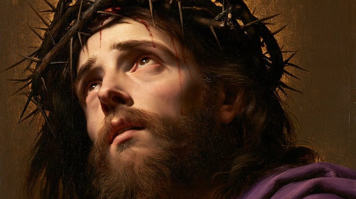 Jesus Crowned with Thorns — The Profile with Quiet Tears