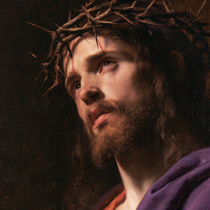 Jesus Crowned with Thorns — Sorrow in Profile against Quiet Black