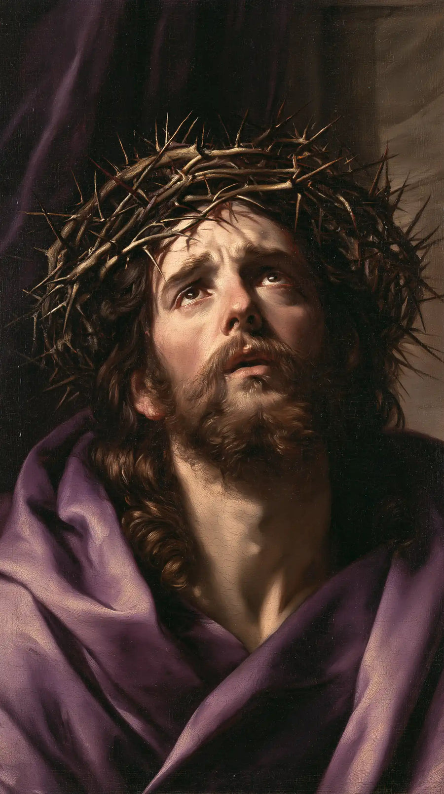 Jesus Crowned with Thorns — The Appeal between Two Satin Folds