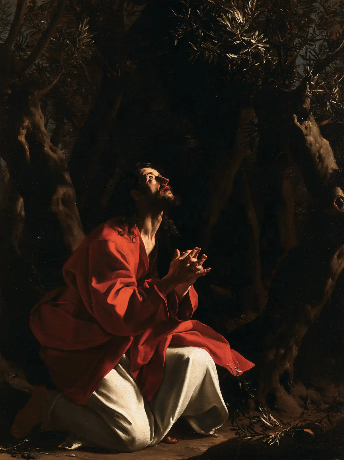 Jesus in Gethsemane — Ivory beneath the Vermilion Cloak