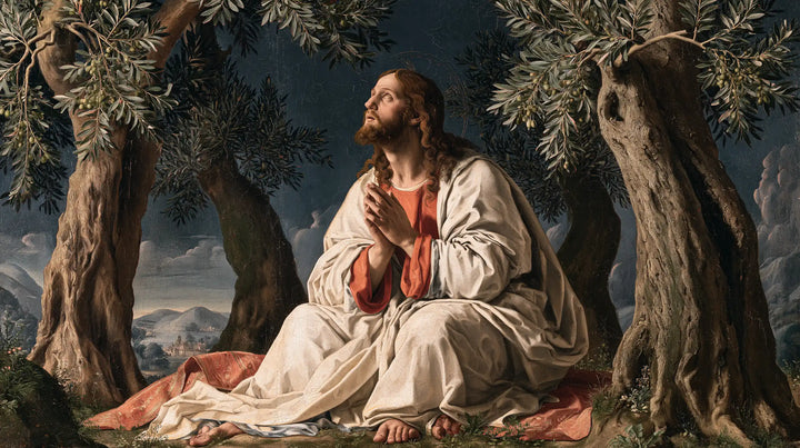 Jesus in Gethsemane — Ivory between Silvery Trunks