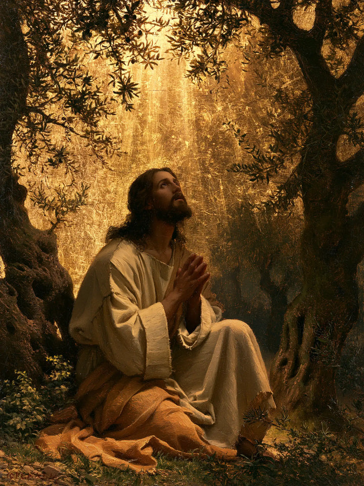 Jesus in Gethsemane — The Face beneath the Crown of Treetops